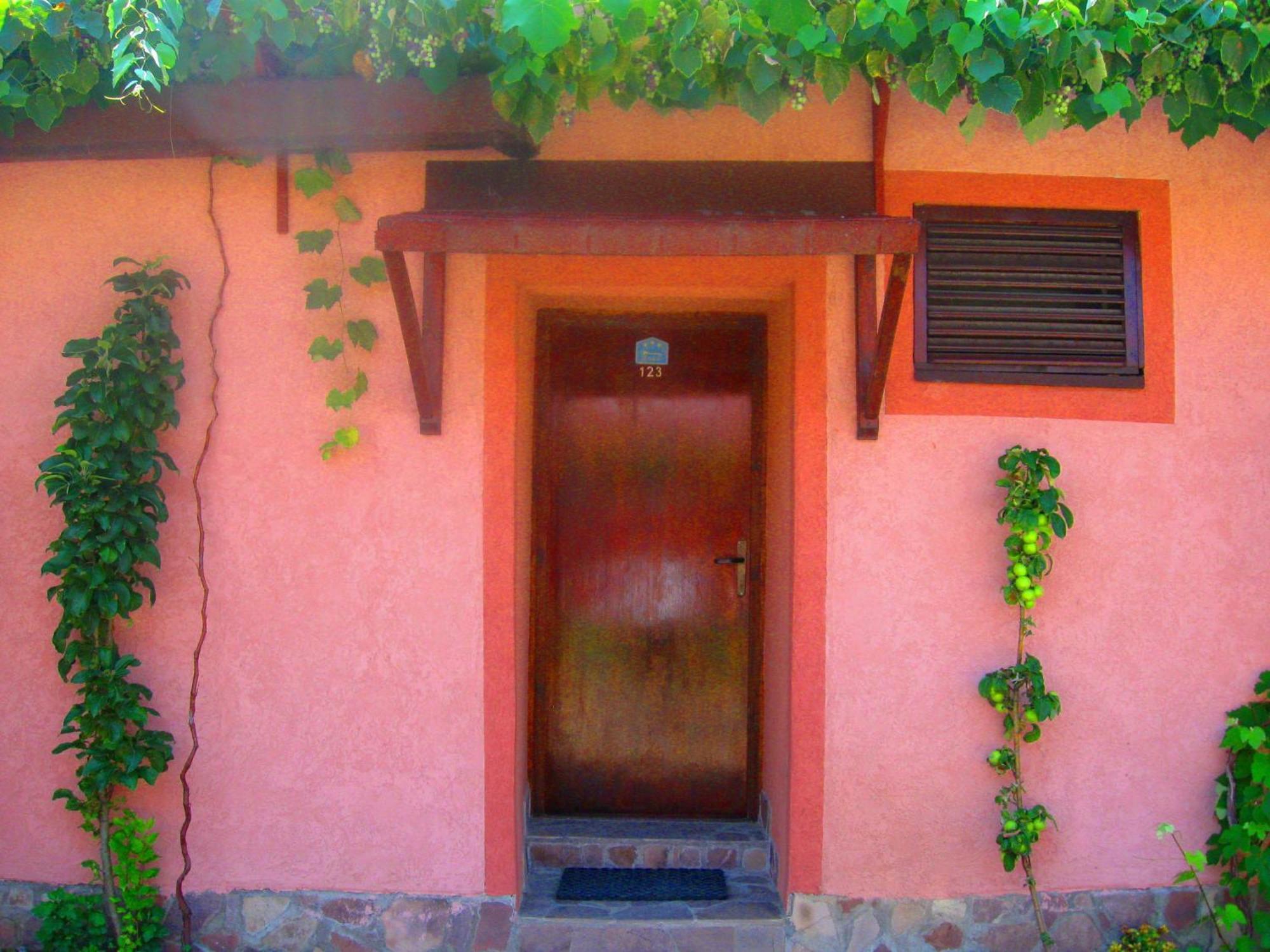 Amfora Rooms Caribrod Dimitrovgrad Bilik gambar